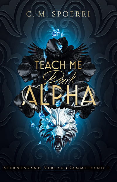 Cover: Teach Me Dark Alpha