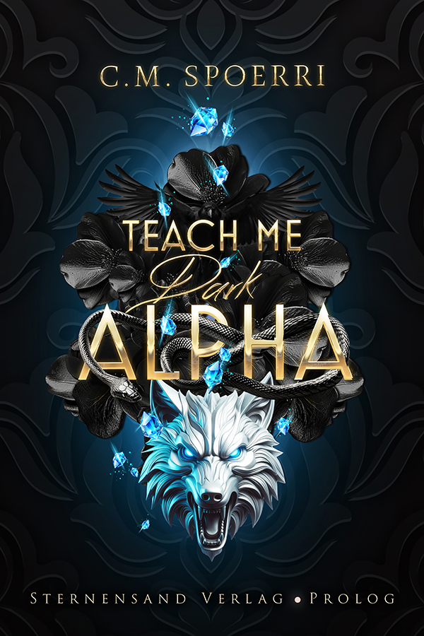 Cover: Teach Me Dark Alpha